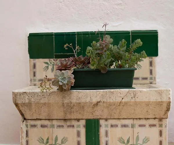 Värdshus Casa Veronica Pego